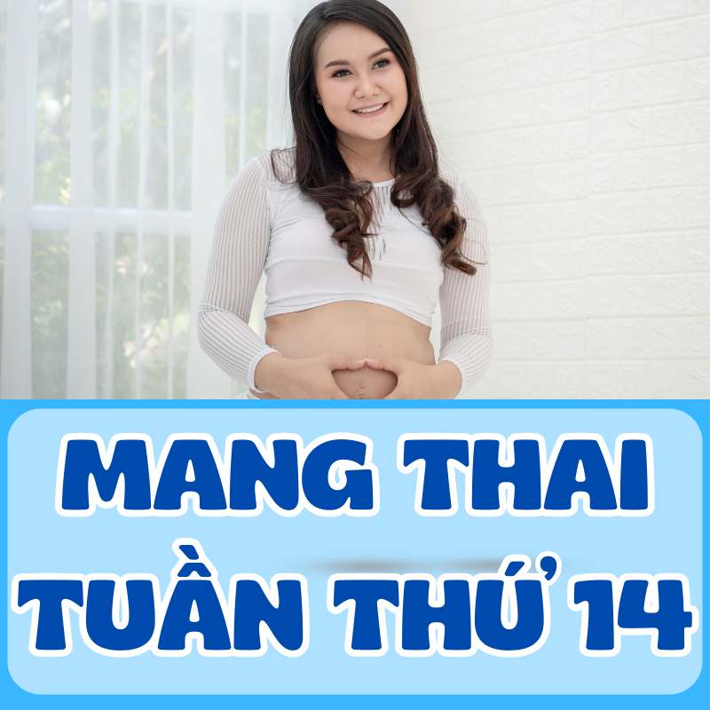 Mang thai tuần thứ 14 mẹ bầu trẻ đẹp